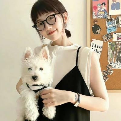 谎话连篇 浪花梦之阵