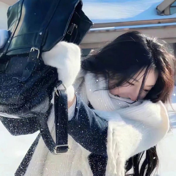 哈莉特:废奴之战
